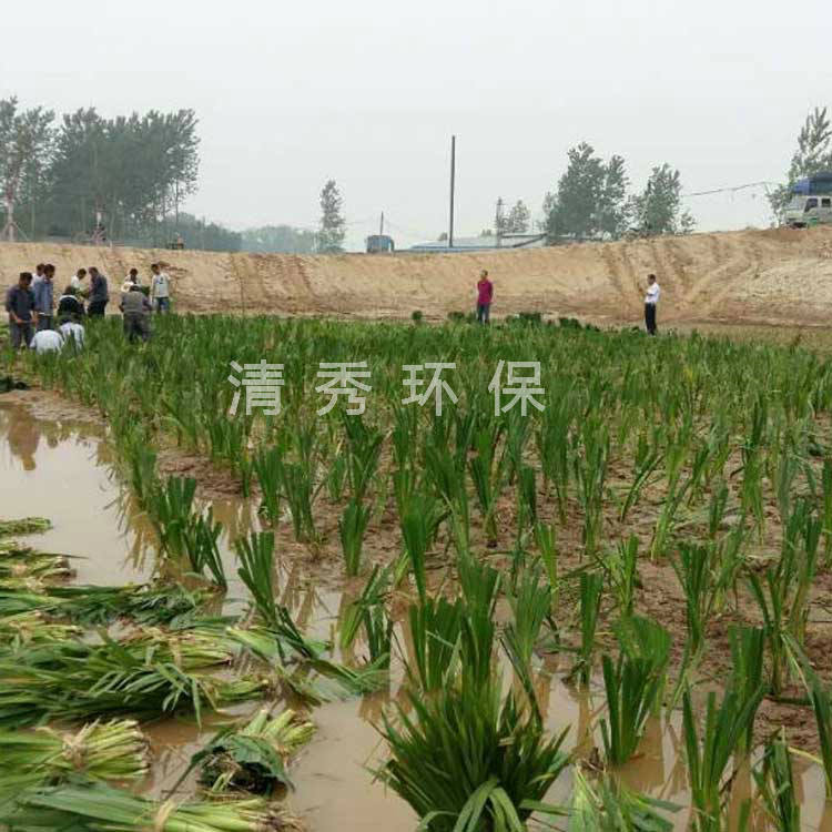 22豐縣大沙河